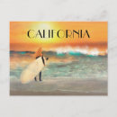 Search for california sunset postcards Surfer