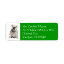 Search for bulldogs return address labels Puppy
