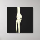 Search for knees art Human skeleton