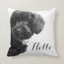 Search for poodle cushions Pets