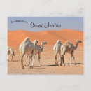 Search for saudi arabia postcards Desert