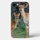 Search for differentiated cases Animal
