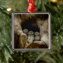 Search for birds nest christmas tree decorations Woodland