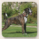 Search for dog show barware Standing