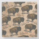 Search for american west coasters Bison