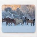 Search for herd electronics Running