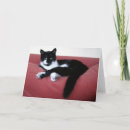 Search for baths cards Cats