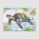 Search for abstract turtle Tropical
