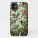Search for ernst haeckel iphone cases Animals