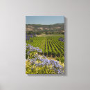 Search for vineyard canvas prints Winery