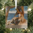 Search for mustang christmas tree decorations Horse