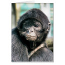 Search for black monkey cards Cute