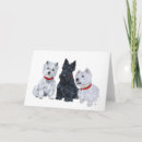 Search for scotty dog art cards Scottish terrier