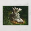 Search for restful postcards Forest