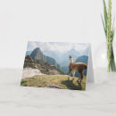 Search for civilisations cards Peru