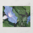 Search for james postcards Scripture