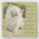 Search for ragdoll coasters Kitten