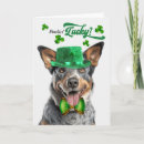Search for australian cattle dogs cards Dog mum