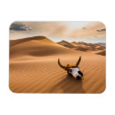 Search for skulls magnets Cow skull