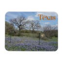 Search for state flower Texas