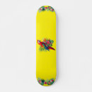 Search for macaw skateboards Parrot
