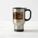 Search for tortoiseshell cats mugs Cute