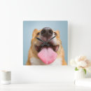 Search for tongue clocks Cute