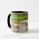 Search for rocky mountain elk mugs Danita delimont