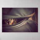 Search for looking at camera art Animal