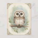 Search for hoot postcards Wild