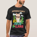 Search for llama mens tshirts Problem