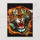 Search for cute lion postcards Wild