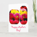 Search for gerbera daisy colours cards Happy