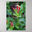 Search for arboretum art Usa