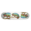 Search for madagascar skateboards Chameleon