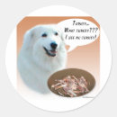Search for great pyrenees stickers Breed