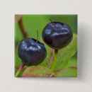 Search for macro badges Fruit