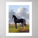 Search for horse racing posters Equestrian