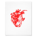 Search for anatomical heart Doctor