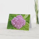 Search for lavender hydrangea cards Purple