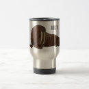 Search for walrus mugs North pole