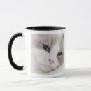 Search for ragdoll cats mugs Feline
