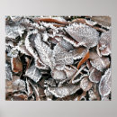 Search for leaves painting posters Winter