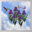 Search for butterfly iris posters Flower