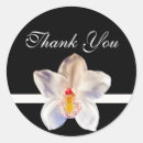 Search for white orchid stickers Photography