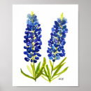 Search for bluebonnet posters Blue flowers