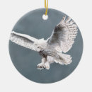 Search for wings christmas tree decorations Animals