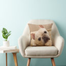 Search for french bulldog puppy cushions Young animal