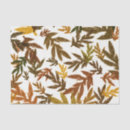 Search for autumn tissue paper Birthday