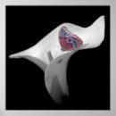 Search for white lily posters Bloom